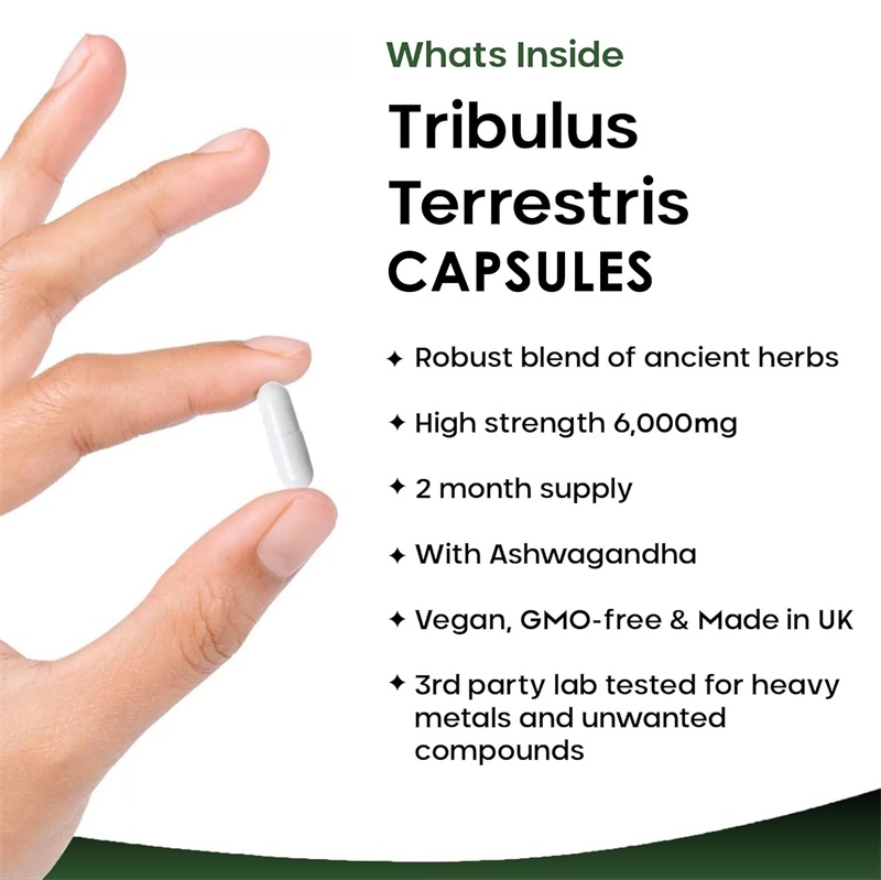 Tribulus Terrestris 6000MG - ي - مراجعة Health And Wellness Promotion وسعره