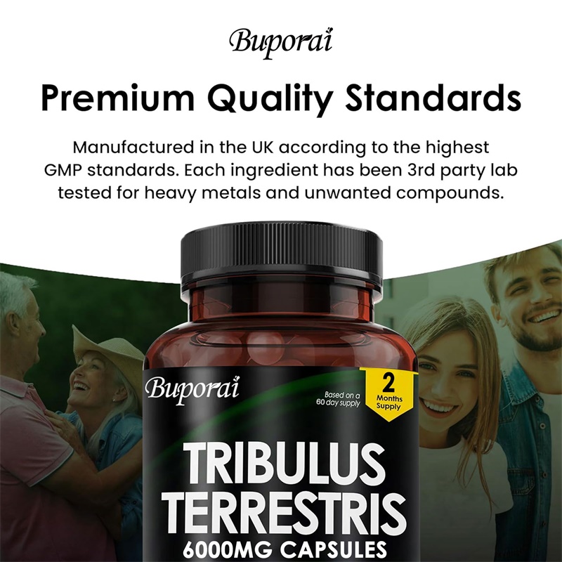 Tribulus Terrestris 6000MG - ي - مراجعة Health And Wellness Promotion وسعره
